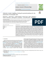 2020 Adenosine Receptor Signalling