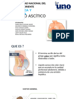 Grupo Liquido Asctis2