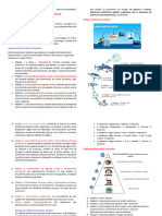 Cadenas y Redes Alimenticias PDF 6°