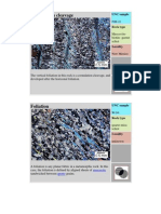 Minerals in Thin Section - 2