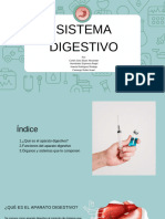 Sistema Gigestivo (1) .PDF - 20241007 - 140758 - 0000