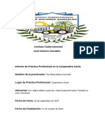 Informe de Práctica Profesional