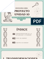 Proyecto Unidad 10