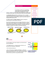 Hernia Discal y Protusión Discal