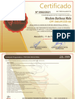 Certificado Pintor Industrial S&B