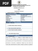 Informe Practica