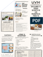 Prebióticos Triptico PDF