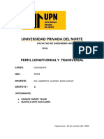 Informe Perfiles Longitudinales y Trasversales Mantilla Soto t2