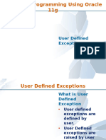 User Defined Exceptions