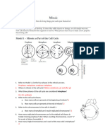 Mitosis Introduction WorksheetSUBMIT