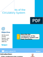 Cardiovascular System