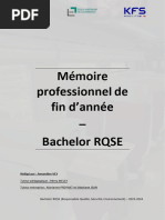 Mémoire Amandine Vey