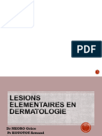 Lesions Elementaires en Dermato