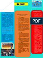 Mapa Conceptual VOLEY