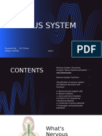 Nervous System G7 - Physiology