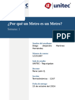 Por Qué Un Metro Es Un Metro - Diego Martinez