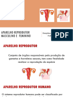 2 - Aparelho Reprodutor