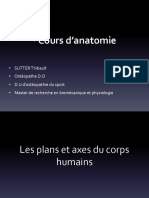 Anatomie Membre Supérieur