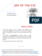 Anatomy of The Eye