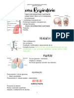 Sistema Respiratório