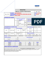 Inf PT Weir Minerals 60074963