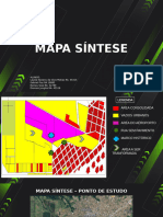 Trabalho - Mapa - Sintese EM ANDAMENTO