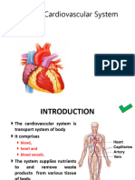 Circulatory System