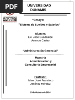 Ensayo "Diseño de Sistema de Sueldos y Salarios"