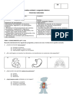 Prueba Unidad 1. Los Sistemas Del Cuerpo. (Recuperado Automáticamente)