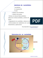 Rutas de Recuperación