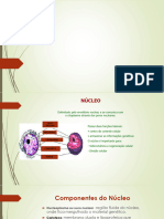 4! (BETE) BIOLOGIA - NÚCLEO, CICLO CELULAR e DIVISÃO CELULAR