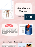 Circulación Venosa PDF