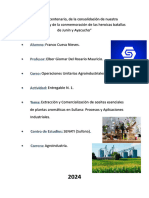 Entregable 1 - Extracción y Comercialización de Aceites Esenciales en Plantas - Cueva Nieves Franco