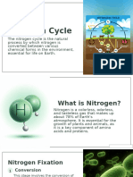 Nitrogen g1