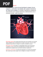 Documento (11) Corazon