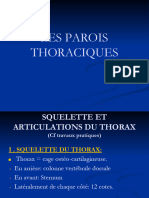 Parois Thoraciques