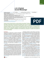 Aula 8 Acetyl Coa