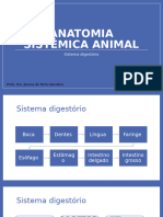 Sistema Digest Rio-1