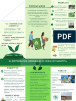 Triptico de Contaminacion Ambiental de La Ciudad de Tambopata