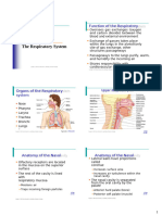 Respiratory System