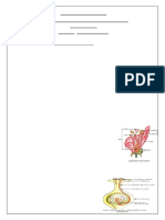 Science MLL Study Material - Class 10