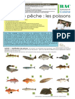 Les Poissons Cours