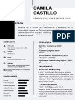 CV Camila Castillo 2022