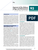 Development of The Kidney: Morphology and Mechanisms: Section Xvi