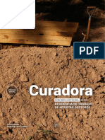 Curadora - Gestores Web - Digital