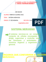 Fabricioad Sistema Nervioso