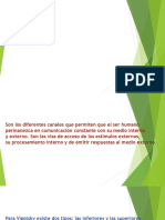 PowerPoint FuncionesPsicol