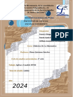 Trabajo de Didactica de Matematica, Limites. Mat