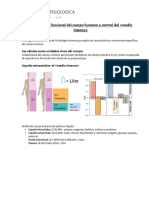 Resumen Fisiologia