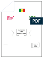 Rapport de Stage